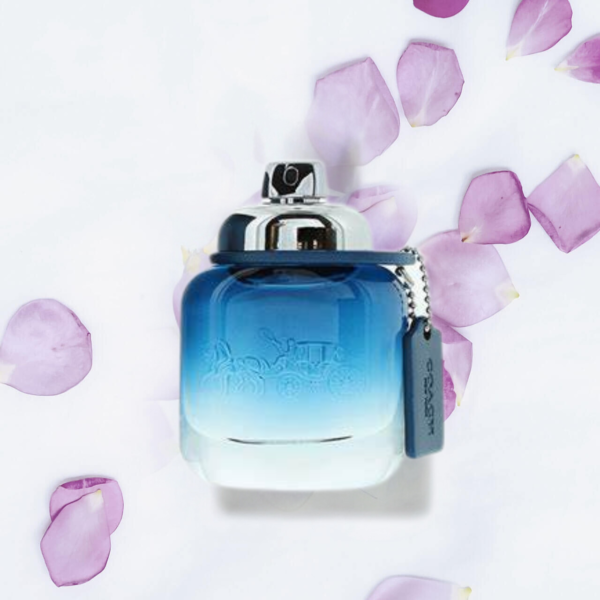 Coach Blue - Image 2