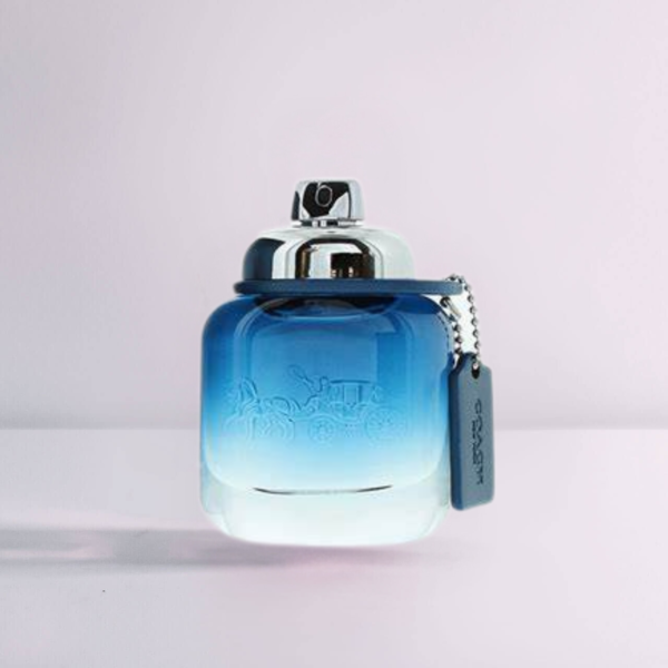 Coach Blue - Image 3
