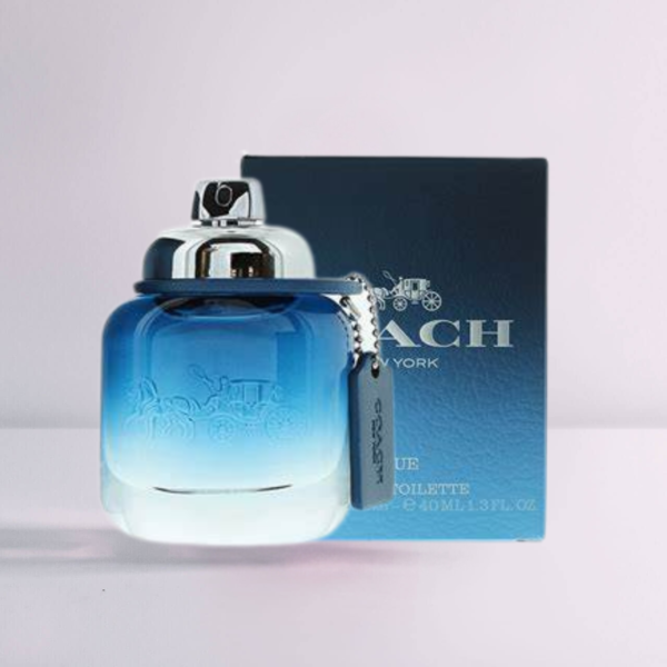 Coach Blue - Image 4