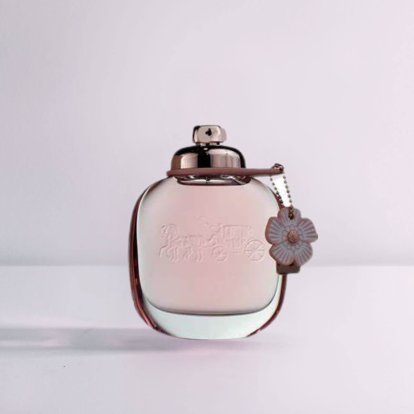 Coach New York - Image 3