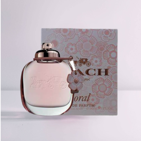 Coach New York - Image 4