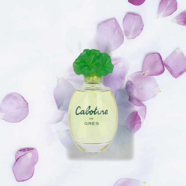 Gres Cabotine - Image 2