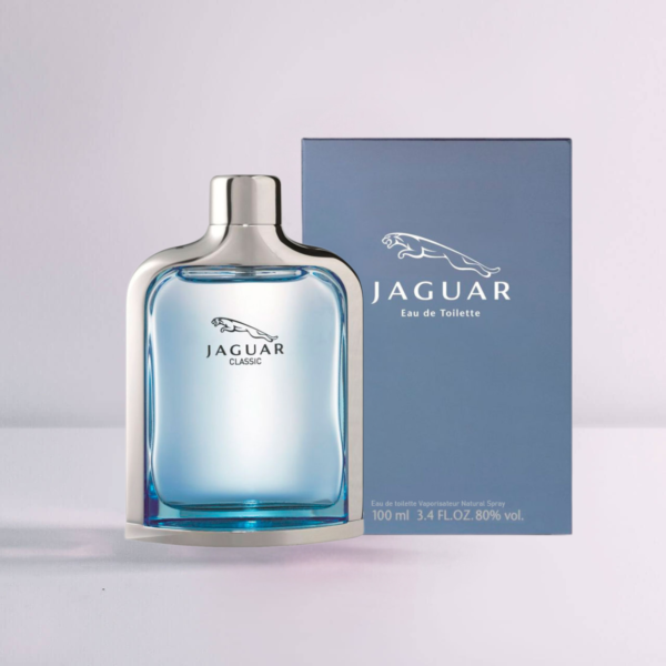 Jaguar Classic - Image 4