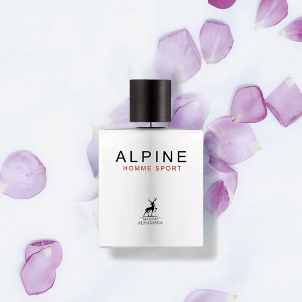 Alpine Homme Sport - Image 2
