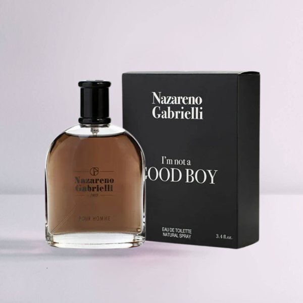 Good Boy - Image 4