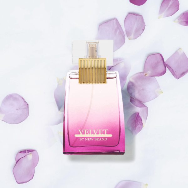 Prestige Velver - Image 2
