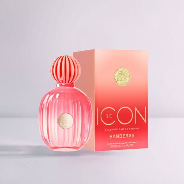 The Icon Splendid - Image 4