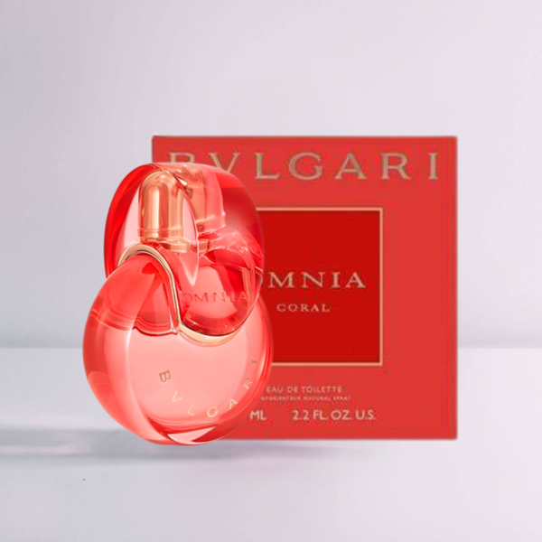 Omnia Cora - Image 4